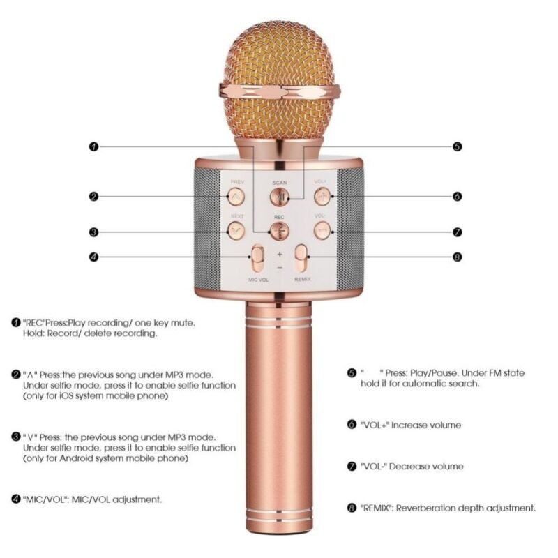 Bluetooth Handheld Portable Mic Speaker KTV Microphone - Image 6